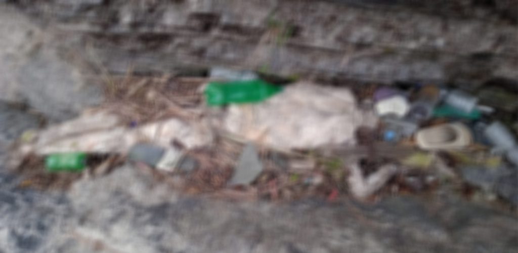 कालीगण्डकी किनारमा मानव कंकाल फेला